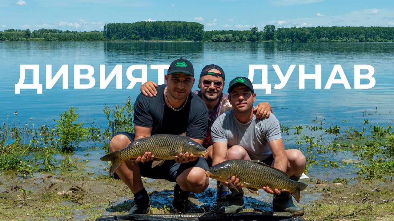 ДИВО ОТКРИВАНЕ НА ШАРАНДЖИЙСКИЯ СЕЗОН - РЕКА ДУНАВ