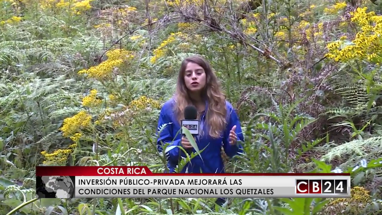 Mirador de quetzales en Costa Rica se fortalece gracias a inversión público-privado