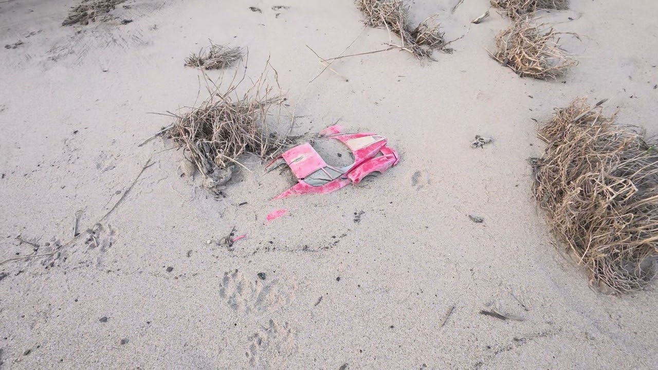 Am Elbestrand Sächsische Schweiz. Was liegt da? 
