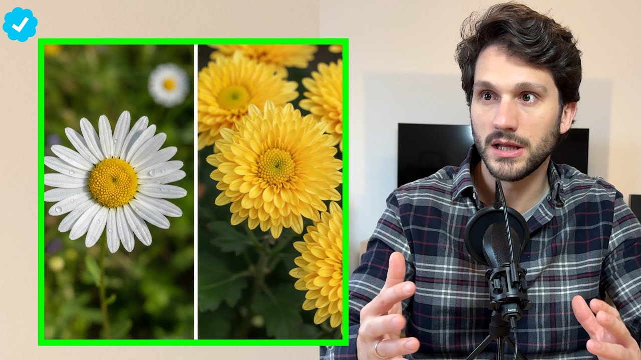 Flores en Terraza: si las Podas ahora...Olvídate de Ellas
