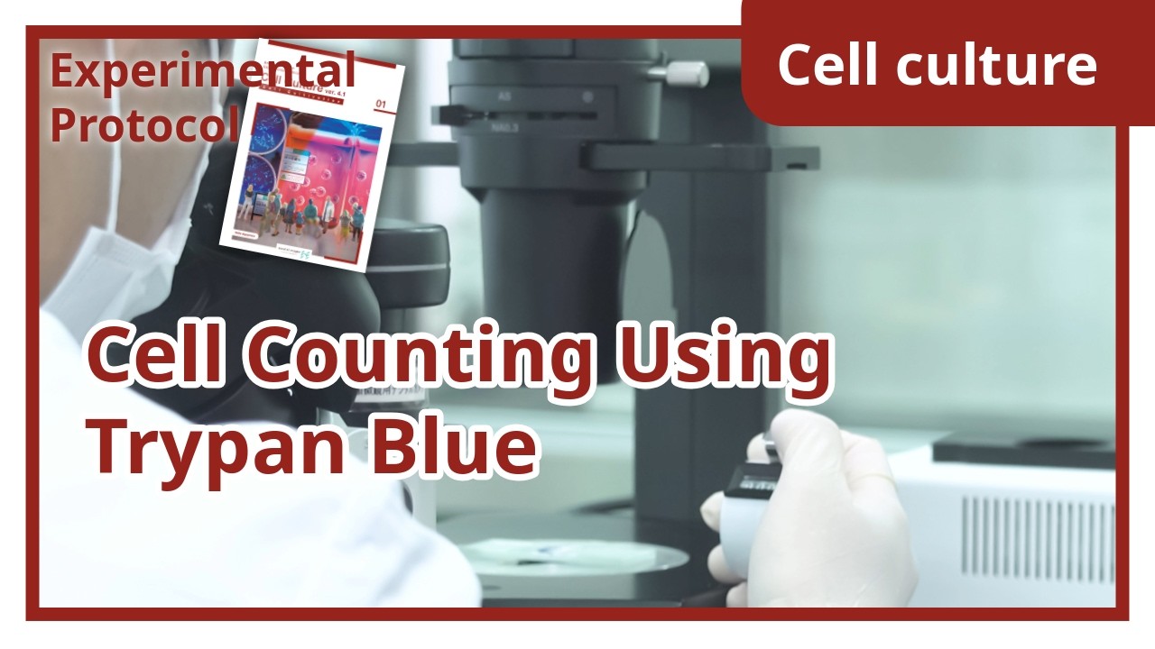 Cell Counting Using Trypan Blue