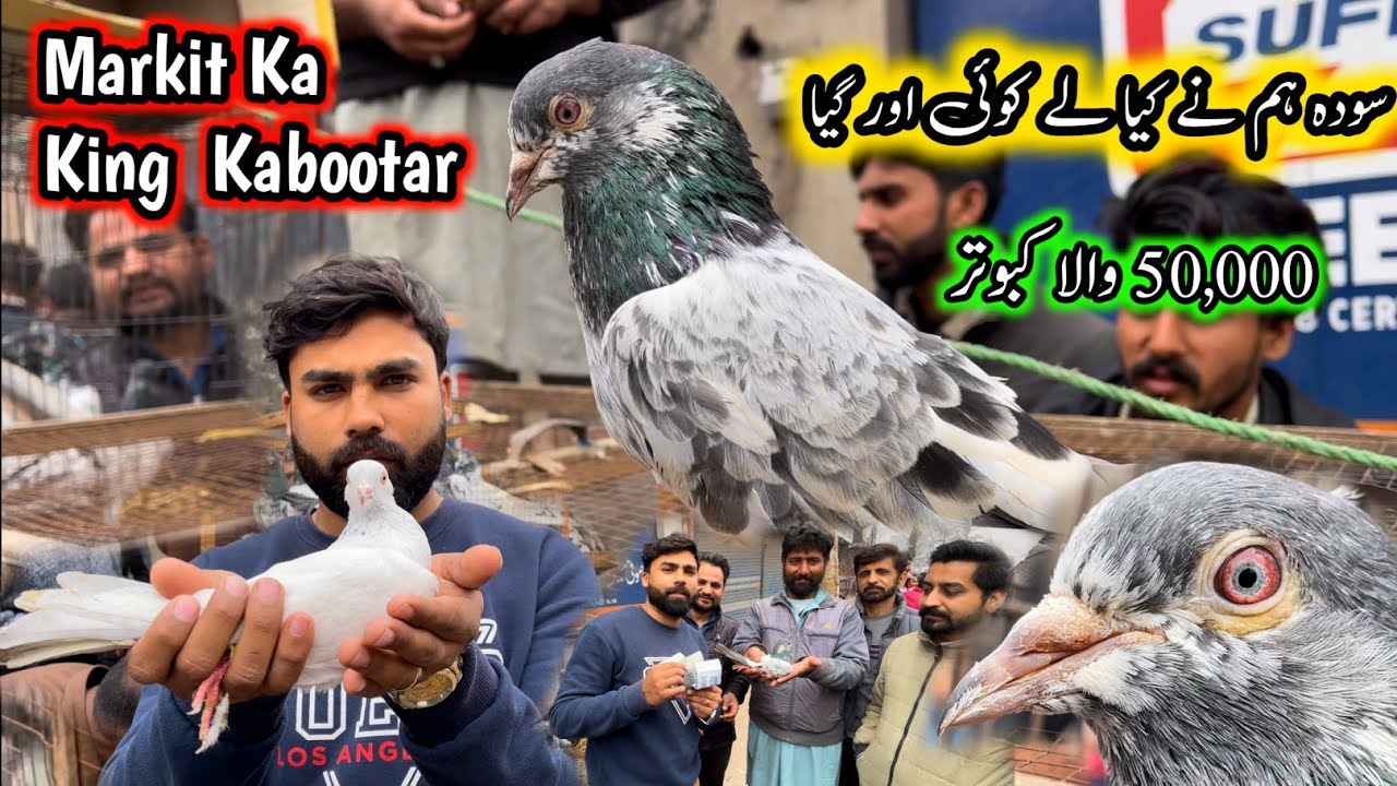 Soda Ham Na Kiya Le Koi Or Gya 😴