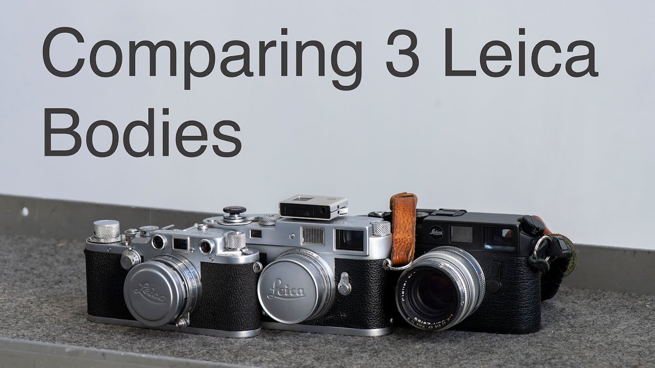 Leica Shootout. IIIc против M2 против M6