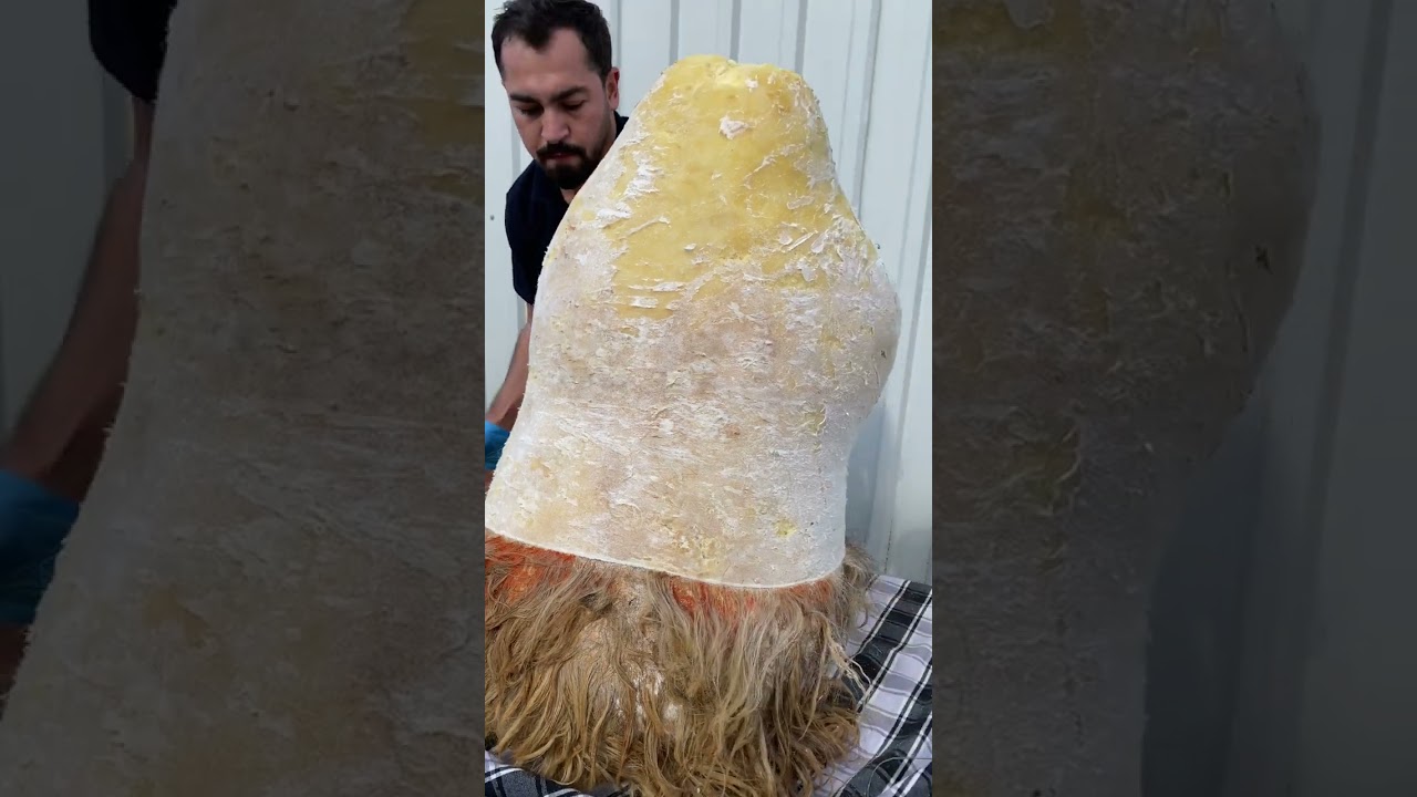 Bir Yıl Boyunca Mağarada Olgunlaştırılmış Tam 100 Kiloluk Deri Tulum Peyniri Kestik