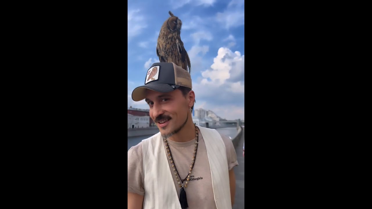 Дима Билан: Вечер на высоте в Москве