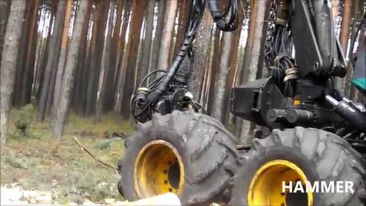 TIMBERJACK 1270 w akcji /2015\
