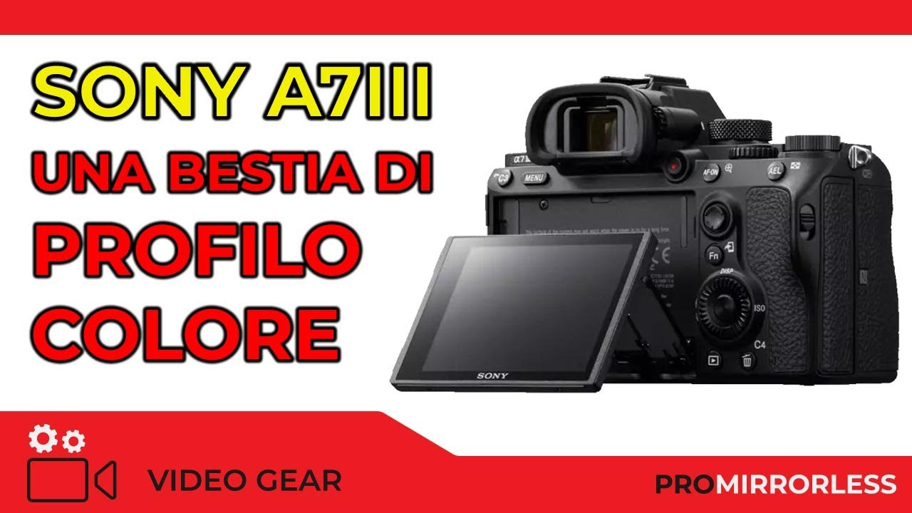 SONY: UNA BESTIA DI PROFILO COLORE!