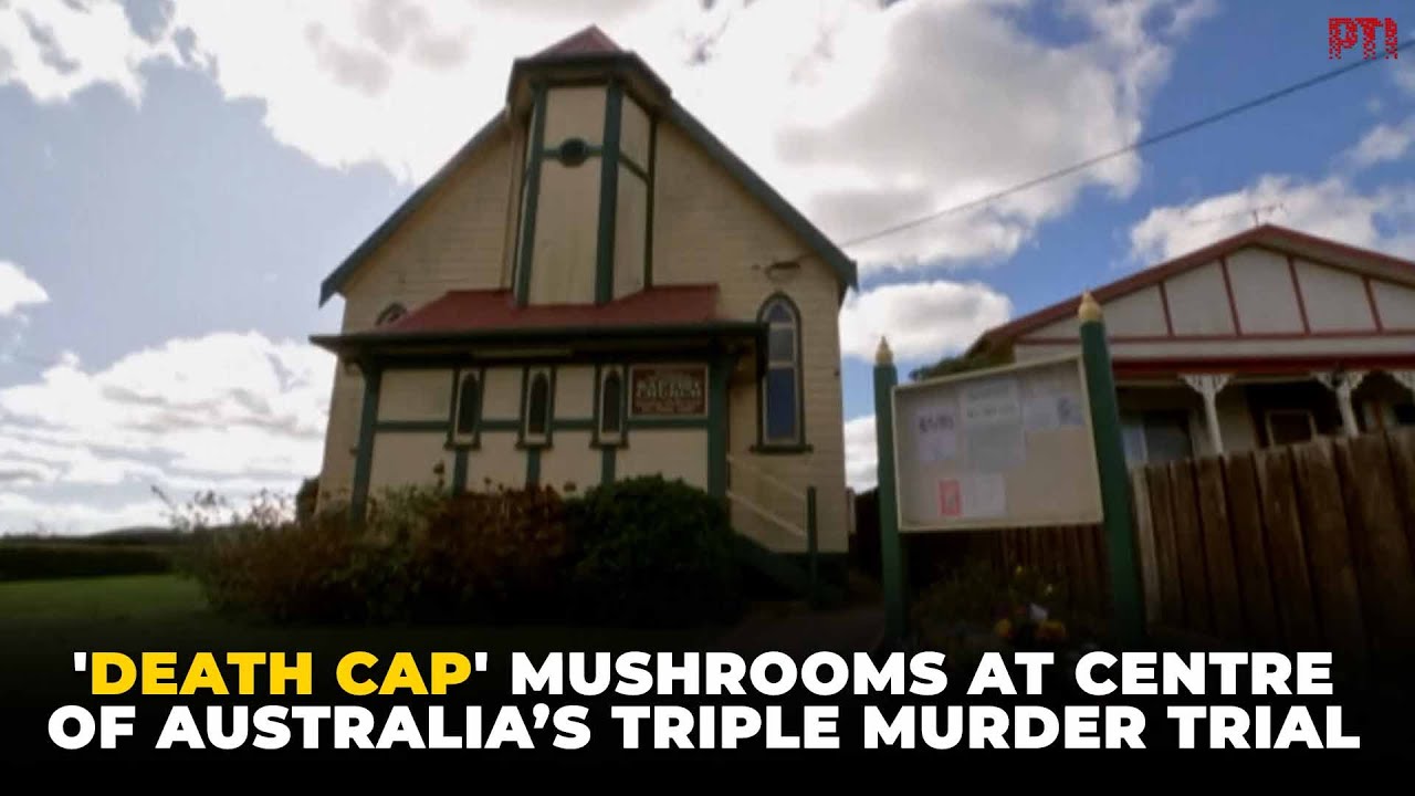 What are 'death cap' mushrooms, at the centre of Australia&rsquo;s sensational triple murder trial