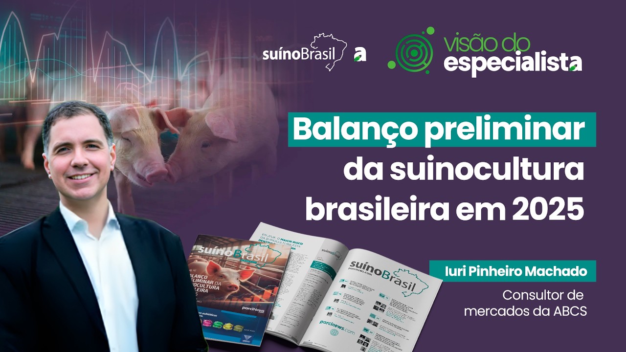 Balanço preliminar da suinocultura brasileira em 2025