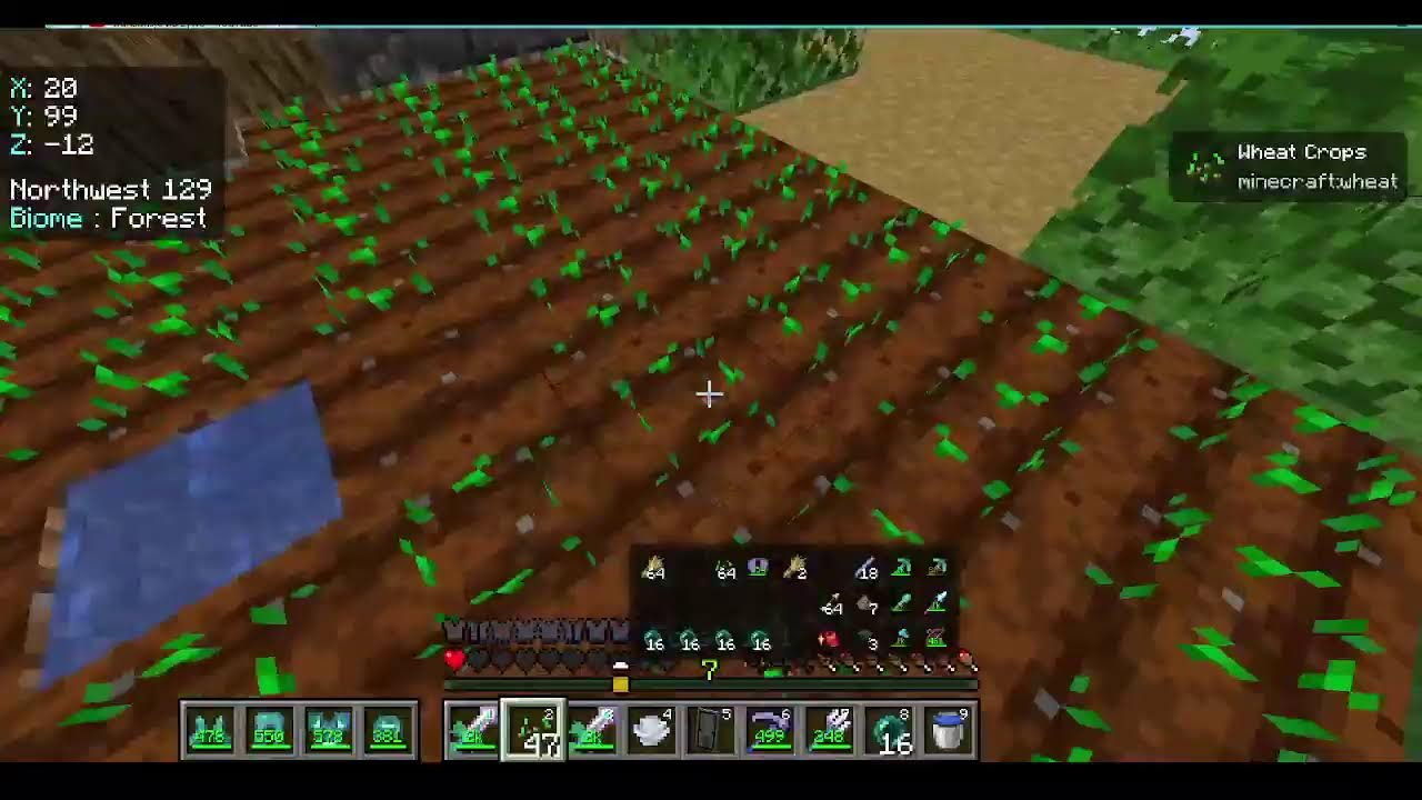 Live z survivala