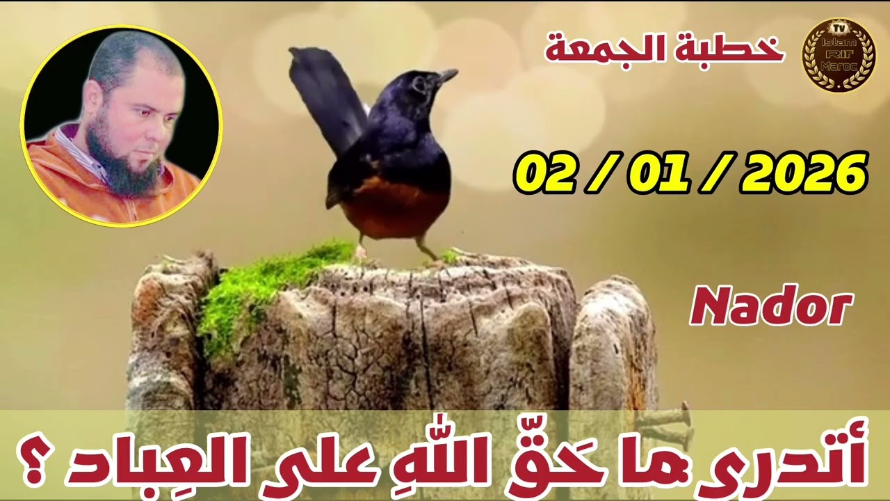 أتدري ما حَقُّ اللهِ على العِباد ؟ // الأستاذ الدكتور عبد الحق معزوز