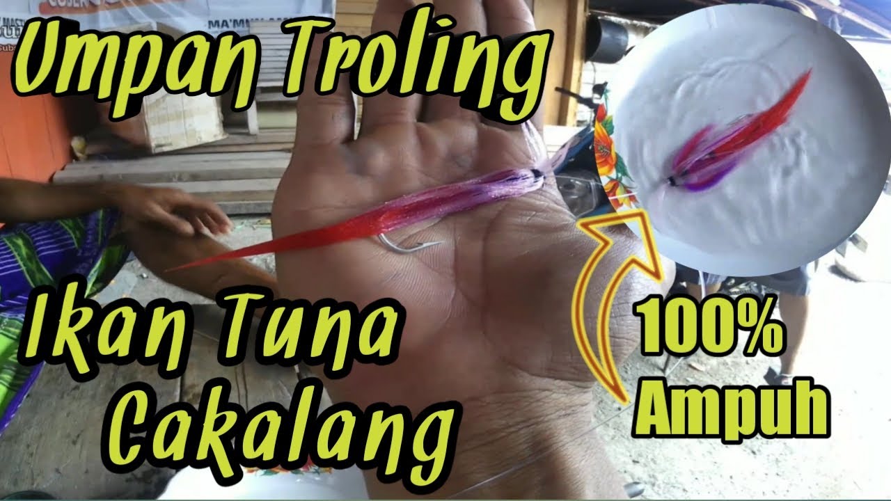 Umpan tuna paling ampuh - Memilih warna untuk umpan troling ikan tuna rompon