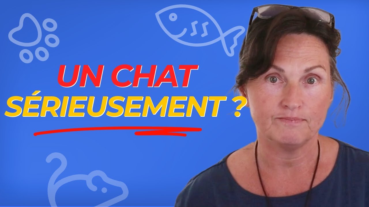 Faire de la zooth&eacute;rapie avec un chat&hellip; s&eacute;rieusement ?