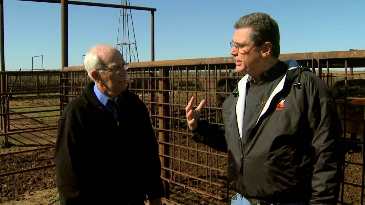Cow-Calf Corner: New Calf Vaccine Protocols