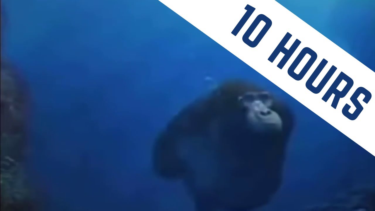 Monke Swim, Monke Happy - Life Could Be a Dream... | 10 Hours