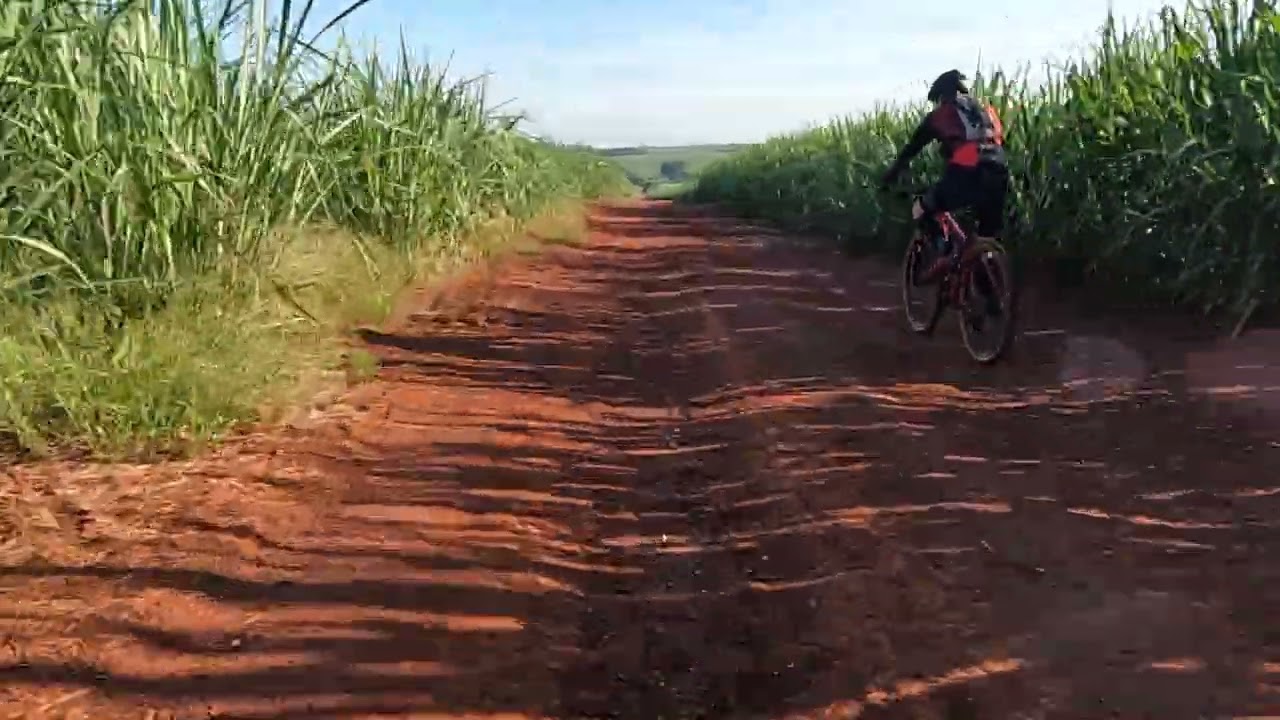 15 de fevereiro de 2026