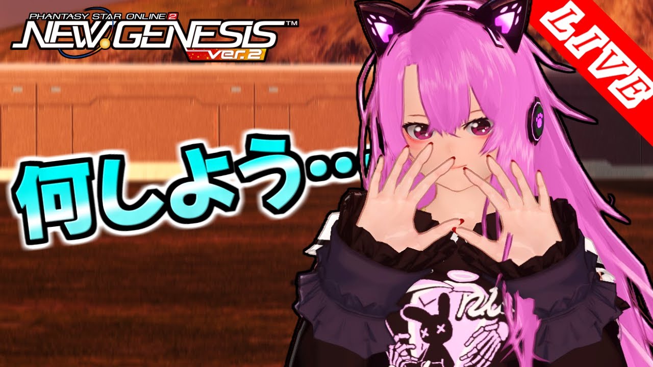 【PSO2NGS/ship4/全シップ】なんかいろいろやってます