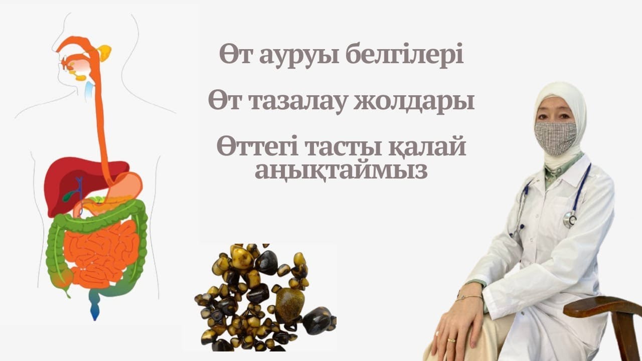 Өт дегеніміз не.ӨТ ТОЛҒАНДА НЕ ІСТЕЙМІЗ.Қалай дұрыс тамақтану керек.ӨТТЕГІ ТАСТЫ АҢЫҚТАУ