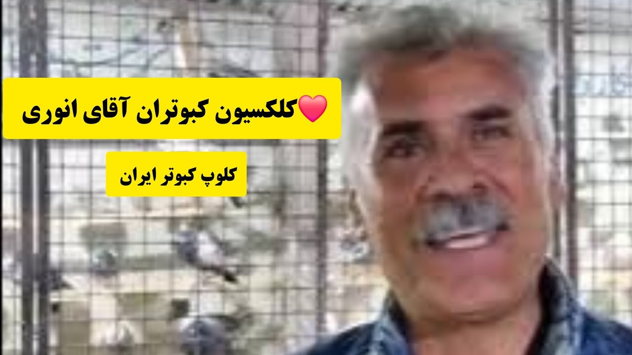 ❤️ کلکسیون کبوتران آقای حسین انوری از ایران _ استان چهار محال و بختیاری _ #فرخ_شهر