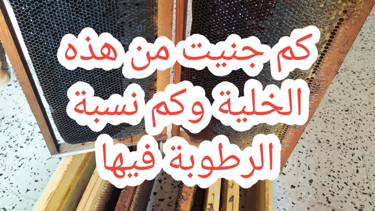 جنيت العسل من أول خلية كم جنيت وكم كانت نسبة الرطوبة فيه