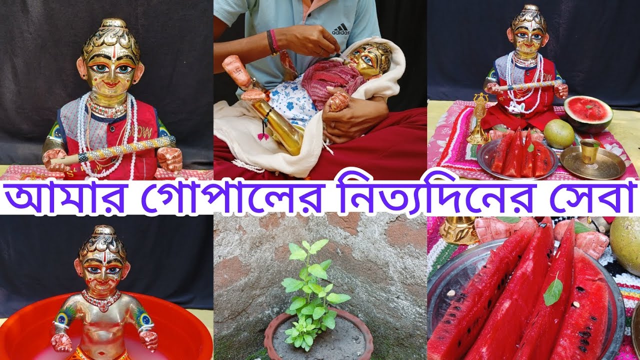 আমার গোপালের নিত্যদিনের সেবা | সকাল থেকে রাত পর্যন্ত | Laddu gopal daily routine | @MallikaHardwork