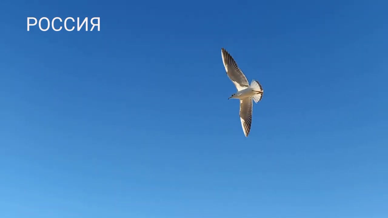Кирилловка. Пляж на Азовском море в период СССР, Украины и России