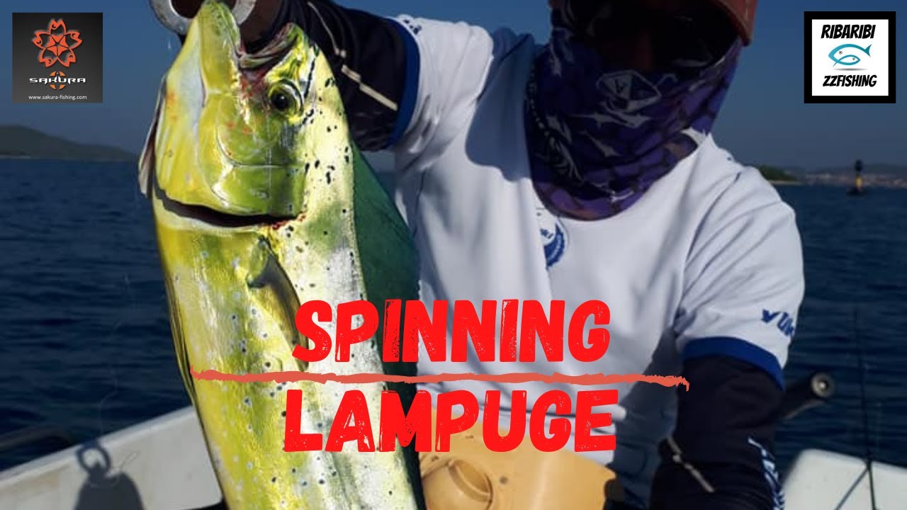 MAHI MAHI SPINNING-LAMPUGE NA SPIN