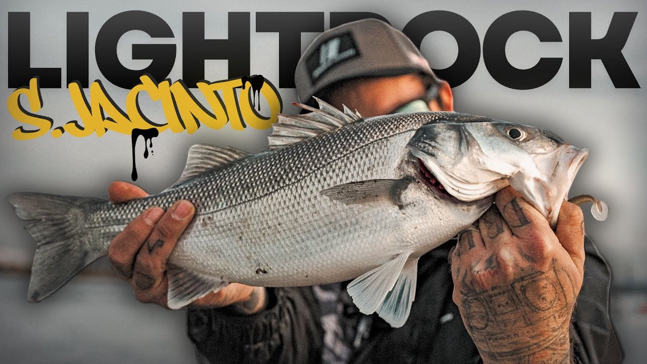 Fui aos CHOCOS mas o plano mudou... CATCH & COOK  | TLAC VLOG 030