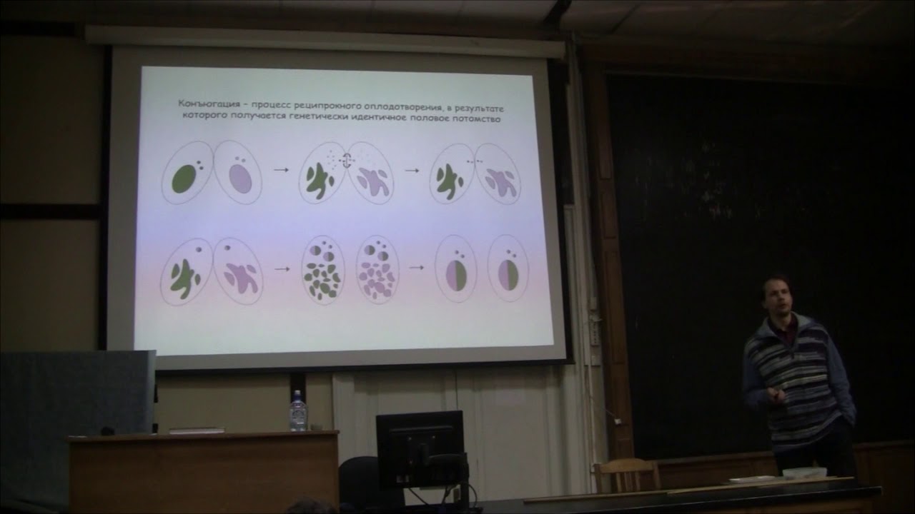 Bioseminars.ru: Откуда у инфузорий пол.