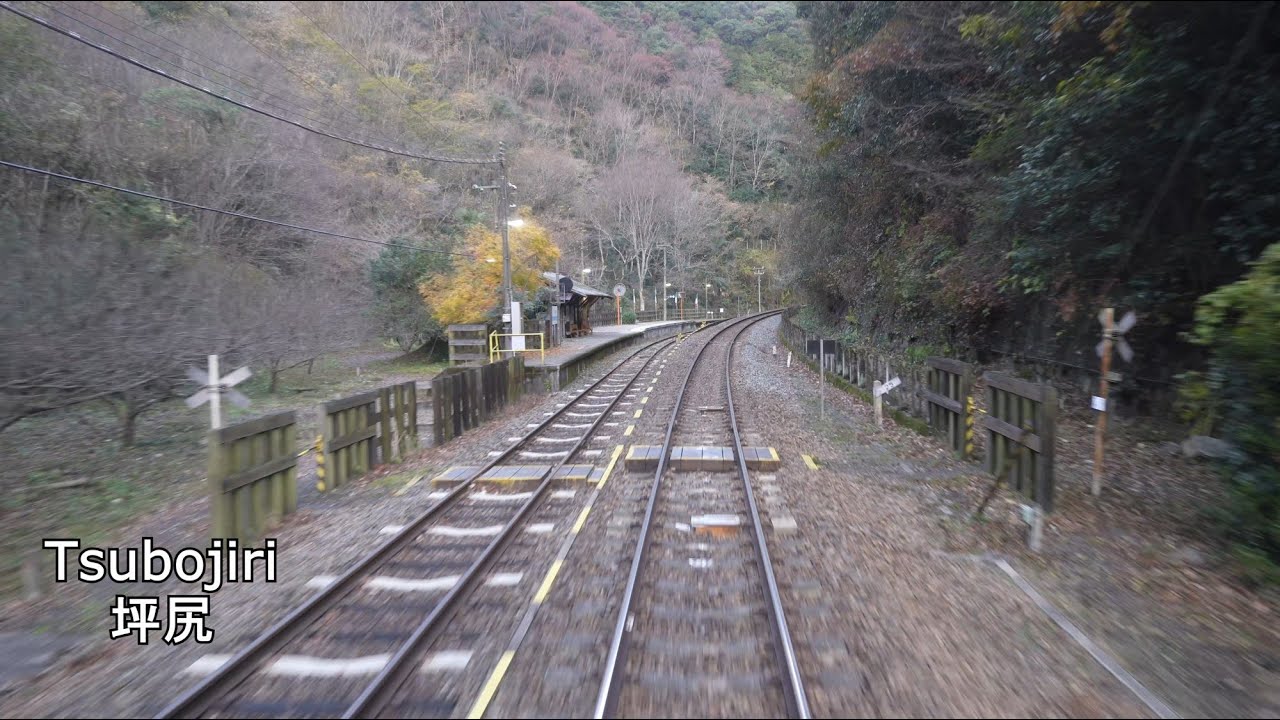 【4K後方展望】土讃線　琴平→阿波池田【坪尻通過の普通列車】