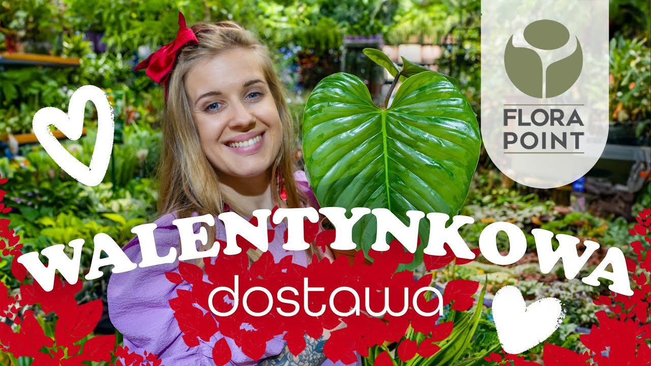 Kolekcjonerskie rośliny, kwitnące cuda i piękne orchidee | przegląd nowości | Flora Point