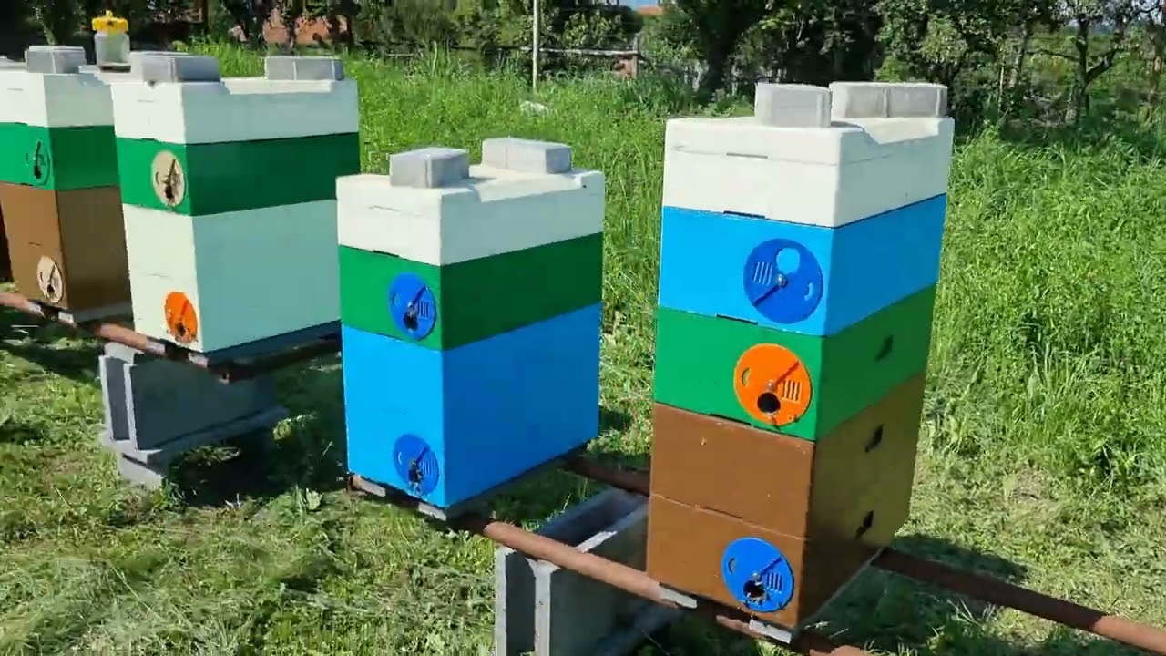 P - Hive stup multifunctional din polistiren ... face si miere 😁
