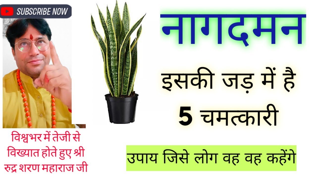 चमत्कार कर देंगेआप/ लोग भाग भाग कर आएंगे आपके पास//मिनटों में समस्या का अंत#चमत्कारीउपाय.