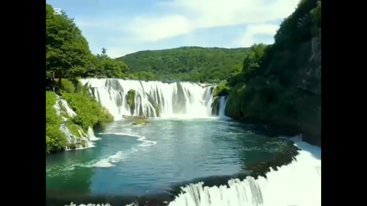 Japodi žive 🌹