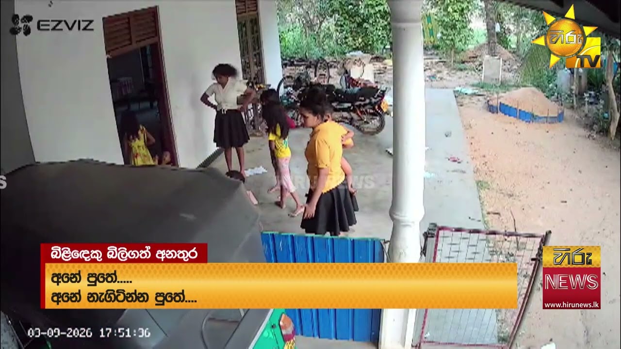 නොසැලකිල්ලට බිලි වුණු මල් කැකුළ - Hiru News