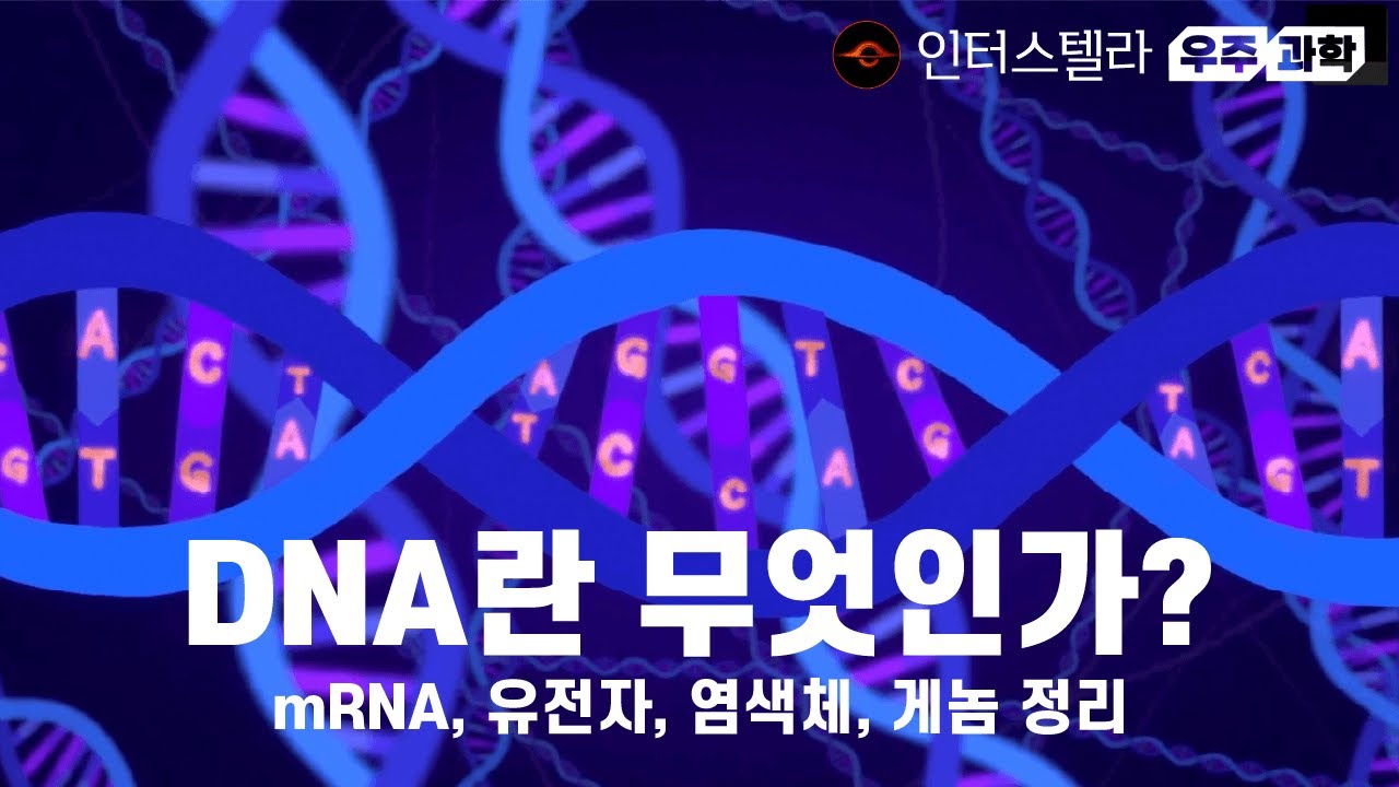 DNA란 무엇인가? mRNA, 유전자, 염색체, 게놈 정리