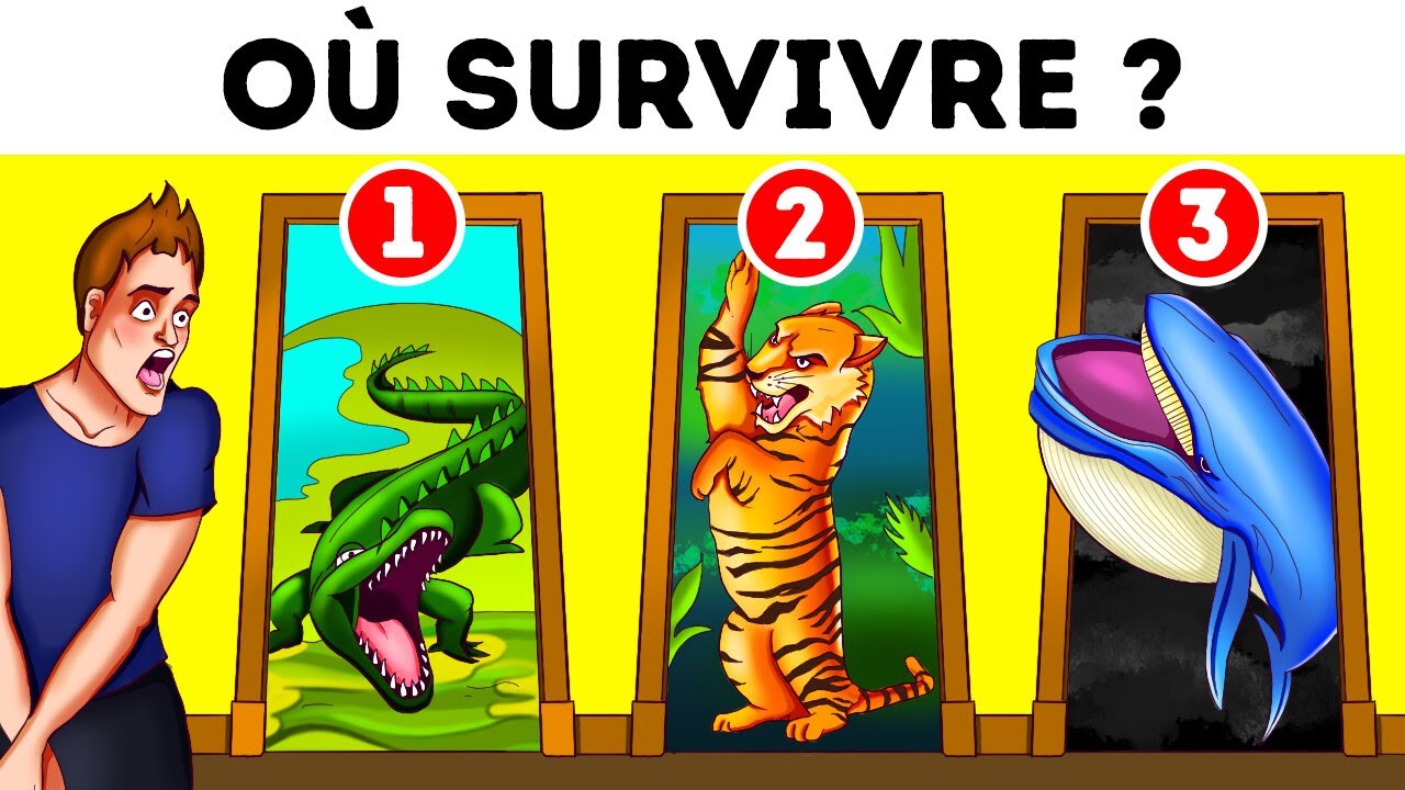 Plus de 80 énigmes pour une journée sans accroc