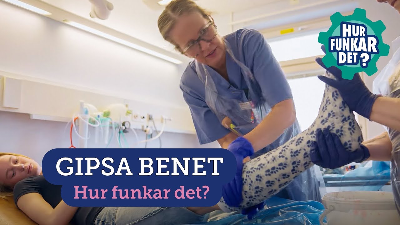 Gipsa benet (ungdom)