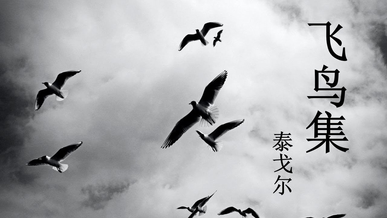 英语有声书|泰戈尔《飞鸟集》节选|中英文对照 | 零基础读英语小说|泛听教材