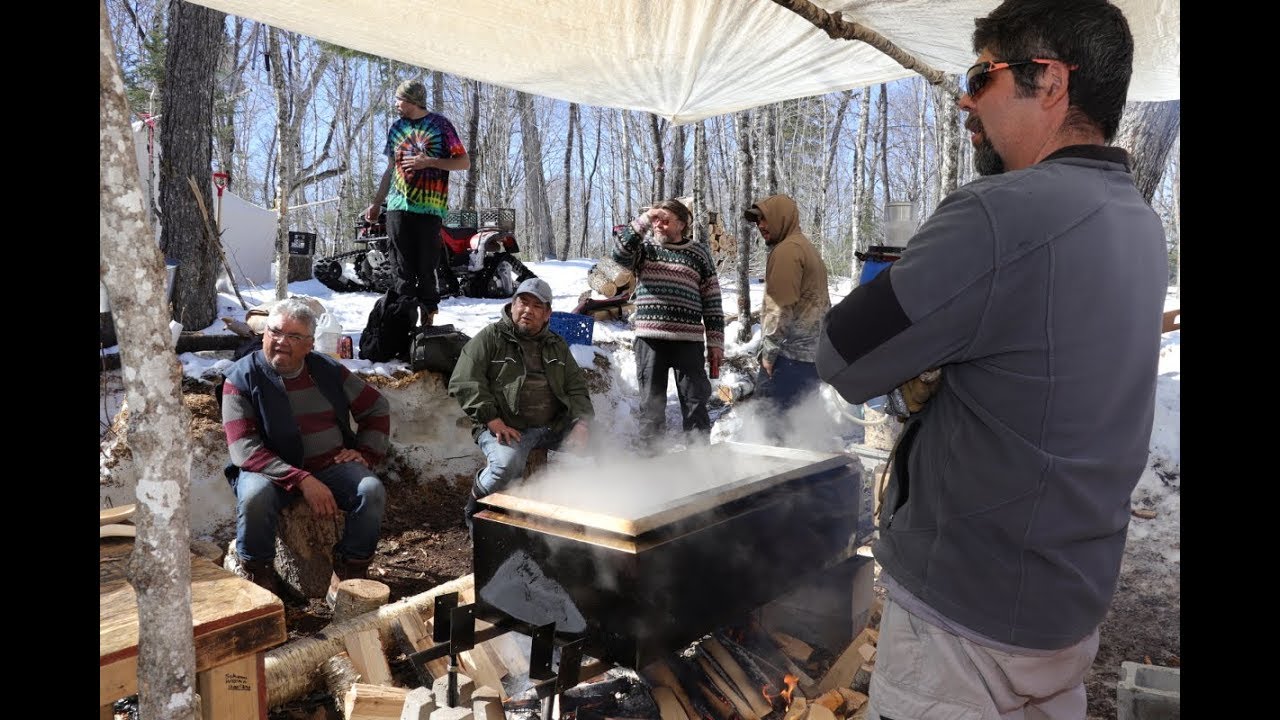 An Atikamekw  sugar bush in  Manawan, Quebec