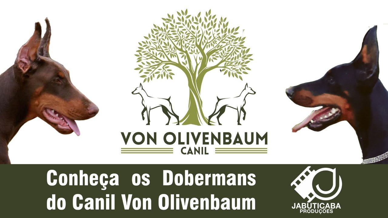 Von Olivenbaum Canil - Jabuticaba Produções