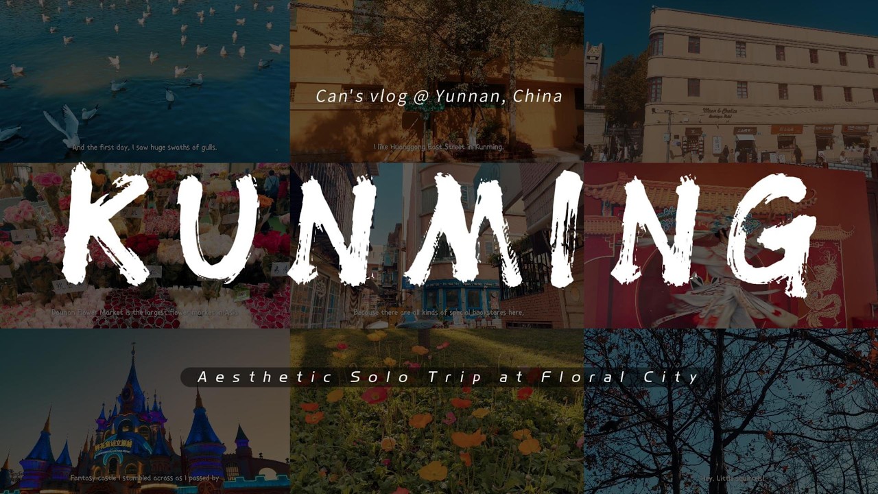 7 Days in Kunming | Solo Trip in Yunnan | Ep1 ✨
