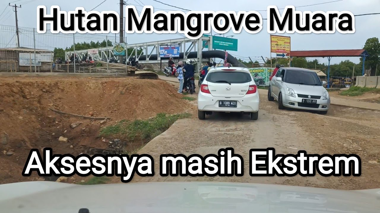 Jalan Menuju Hutan Mangrove Desa Muara - Teluk Naga | Car Vlog.