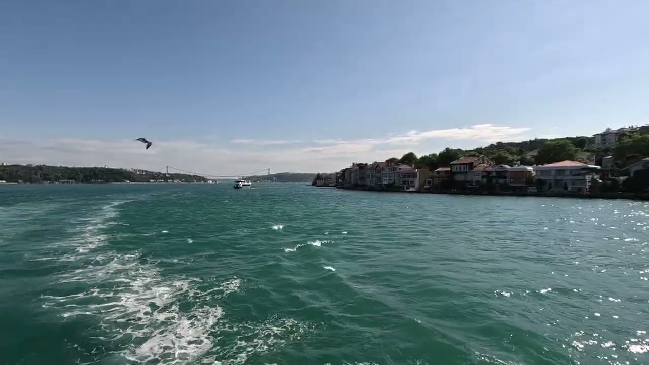 istanbul beşiktaş sarıyer vapur gezisi 2023 HD 1080P