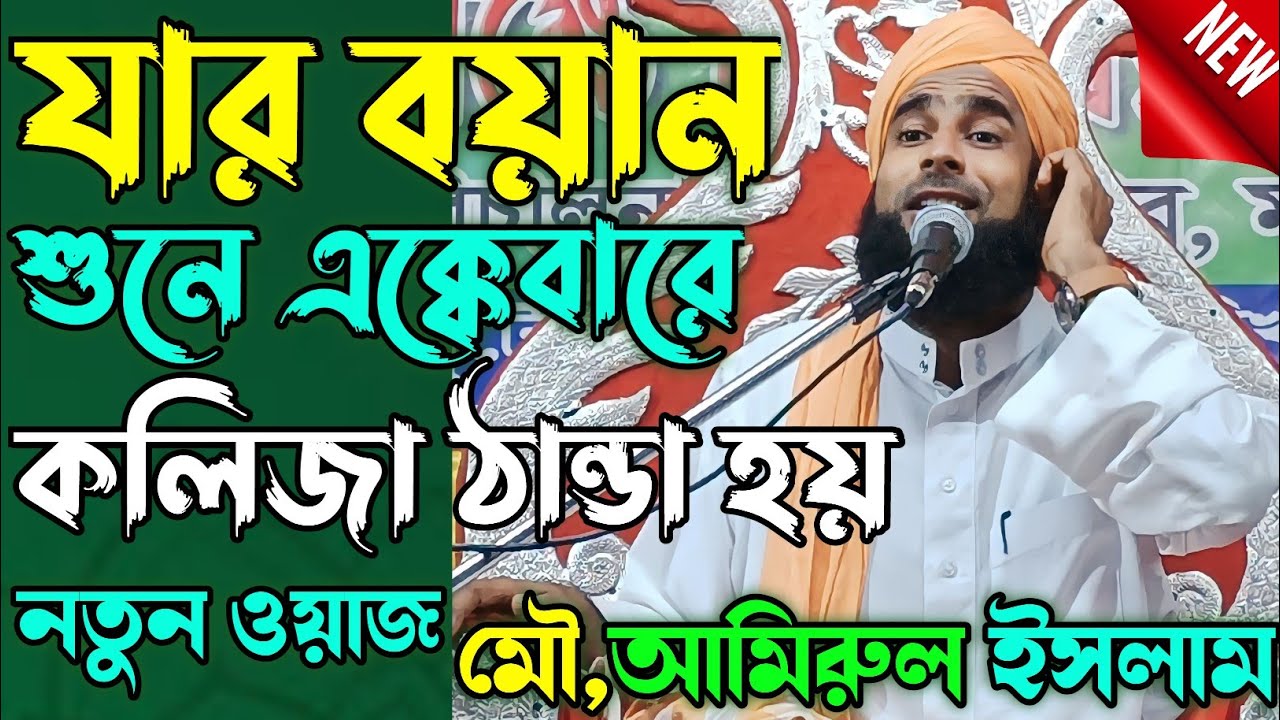 amirul islam chaturvedi || amirul islam || amirul islam jalsa | bangla jalsa ✓ amirul islam waz