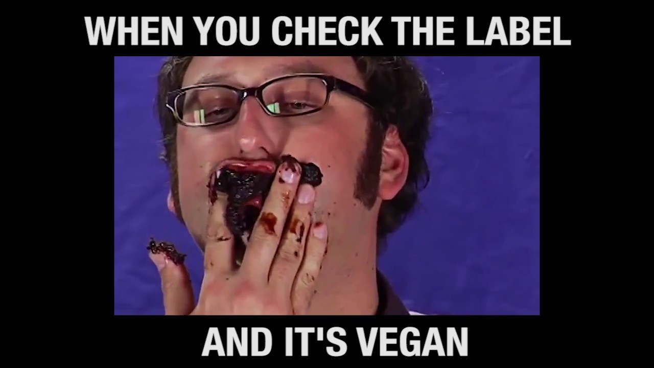 VEGAN MEME COMPILATION