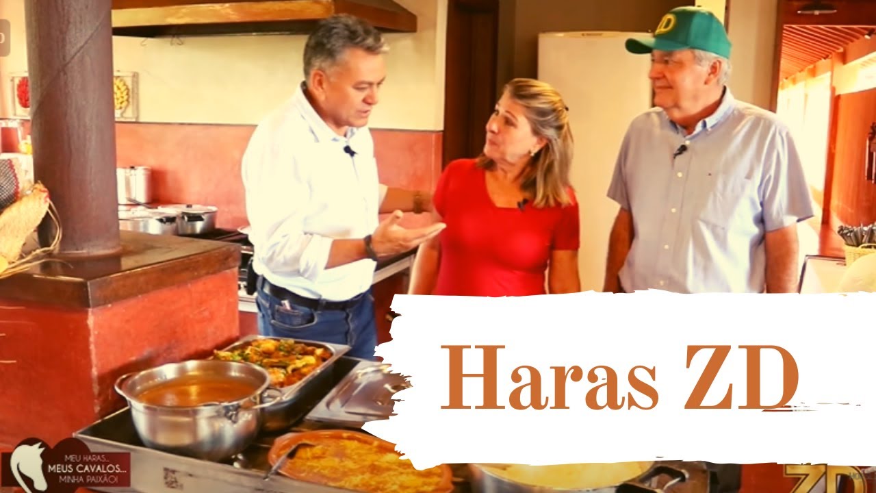 SÉRIE: Meu Haras, Meus Cavalos, Minha Paixão - Haras ZD