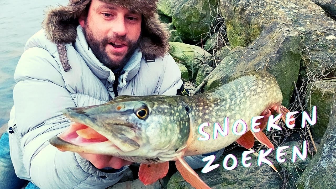 Snoeken zoeken in De Biesbosch | Spinners VS Softbaits op een taaie Winterdag | VLOG #10