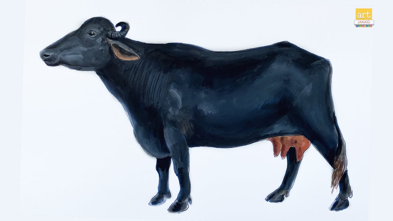 Murrah Buffalo || Buffalo Drawing || #atjanag