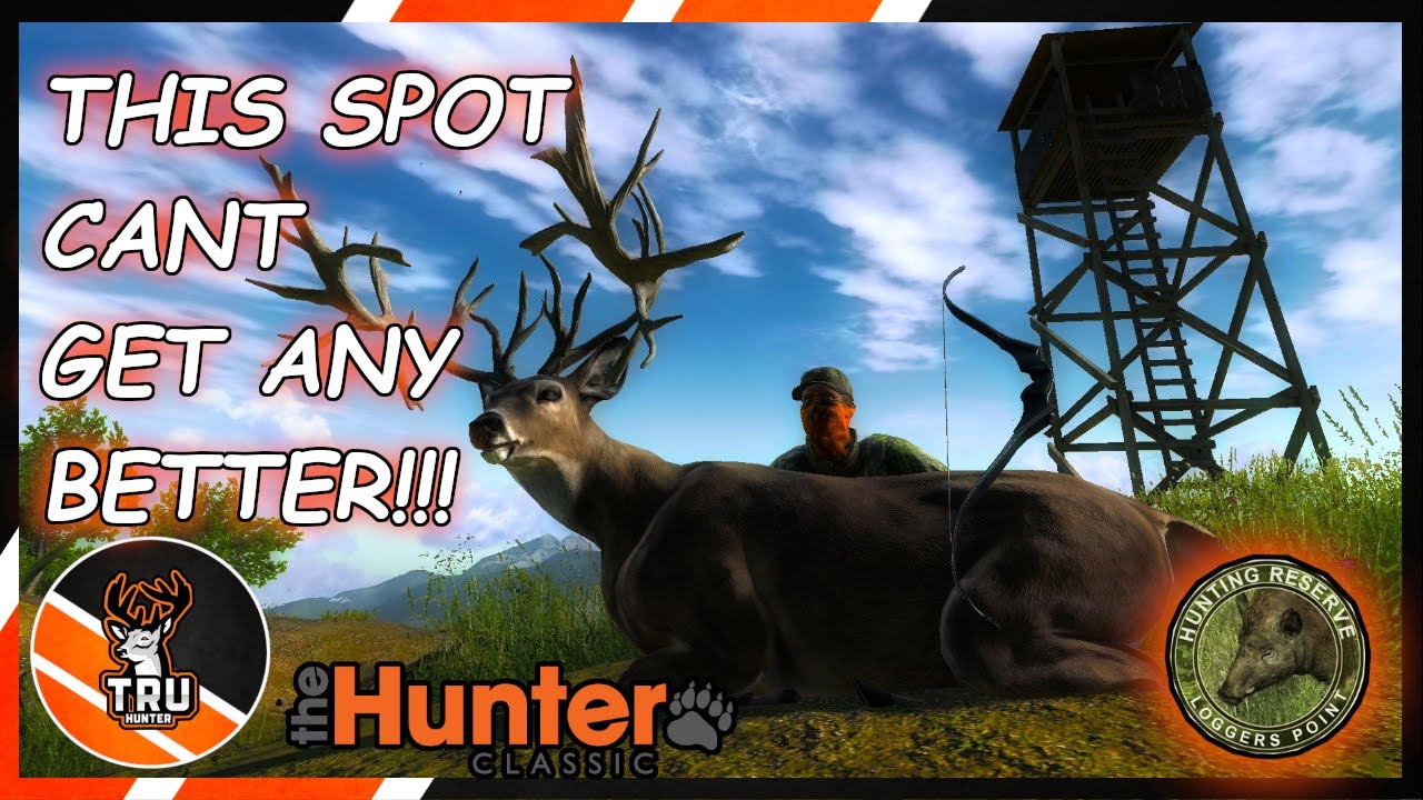 Hunting the BEST spot-on Logger's Point | theHunter Classic